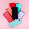 Coques Autres