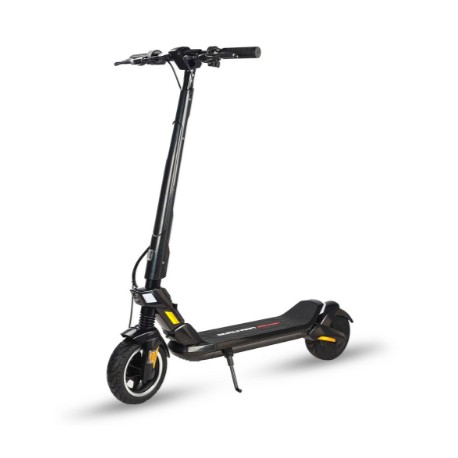 Trottinette Électrique Dualtron Dolphin 36V 7,8A