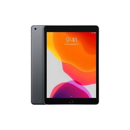 iPad 10.2 (2019) 7e Génération Reconditionné Gris Sidéral