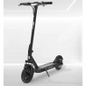 Trottinette Electrique Ride 350CT
